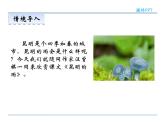 人教部编语文八年级上 16  昆明的雨 课件