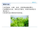 人教部编语文八年级上 16  昆明的雨 课件
