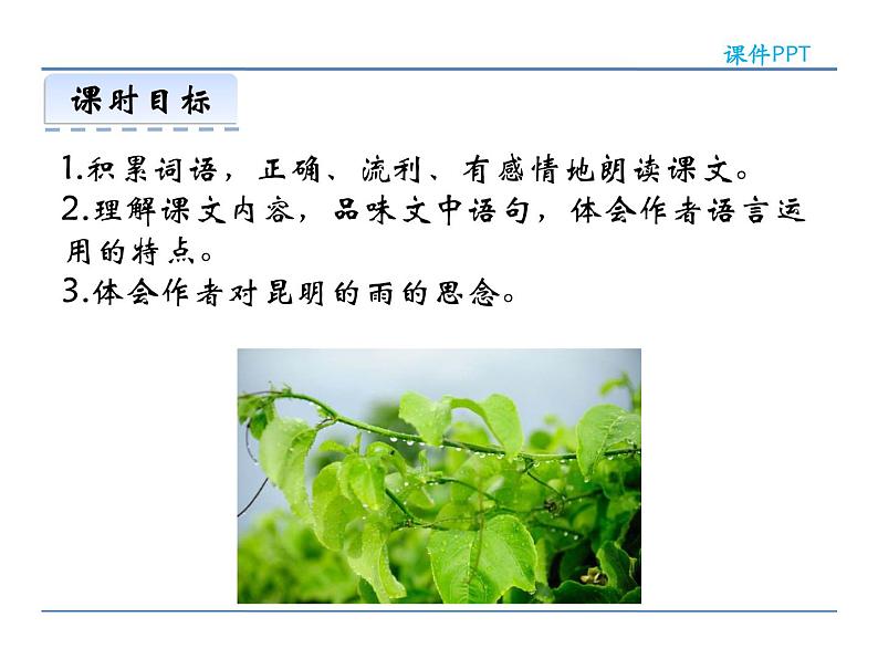 人教部编语文八年级上 16  昆明的雨 课件03