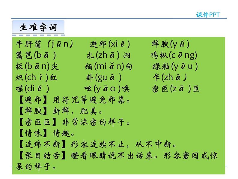 人教部编语文八年级上 16  昆明的雨 课件07