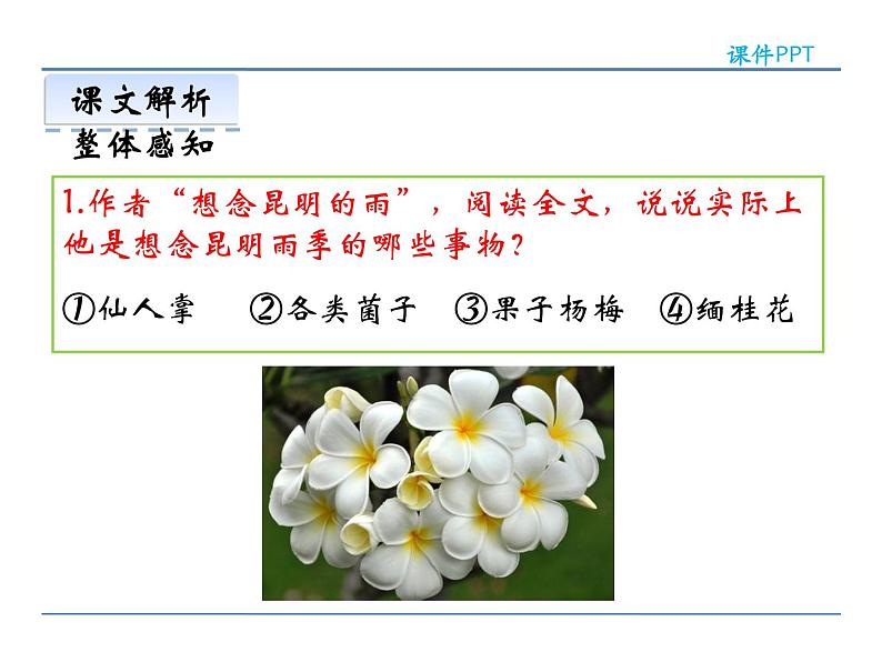 人教部编语文八年级上 16  昆明的雨 课件08