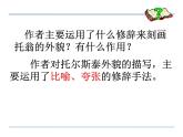 人教部编语文八年级上 7 列夫·托尔斯泰  第二课时 课件