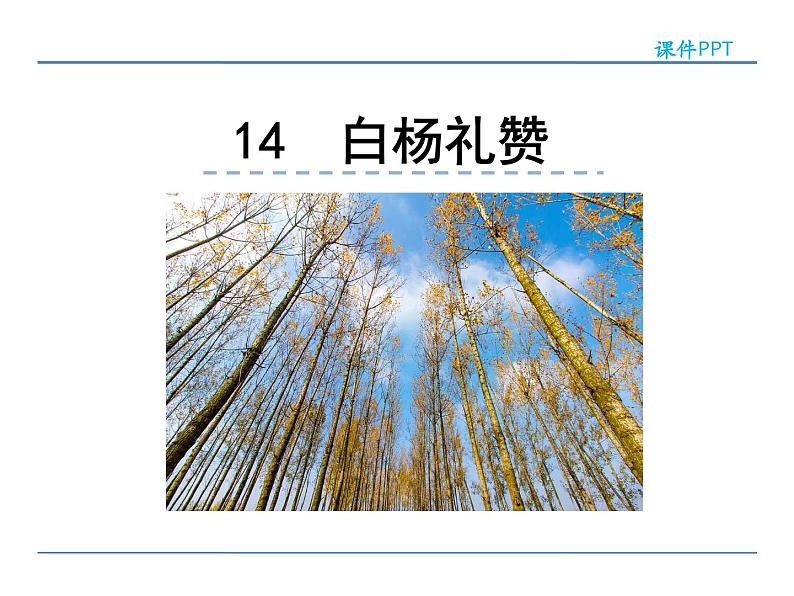 人教部编语文八年级上 14  白杨礼赞 课件01