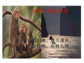 人教部编语文八年级上 9.三峡 （共40张PPT） 课件
