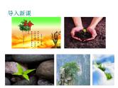 人教部编语文八年级上 15.散文二篇 （共47张PPT） 课件