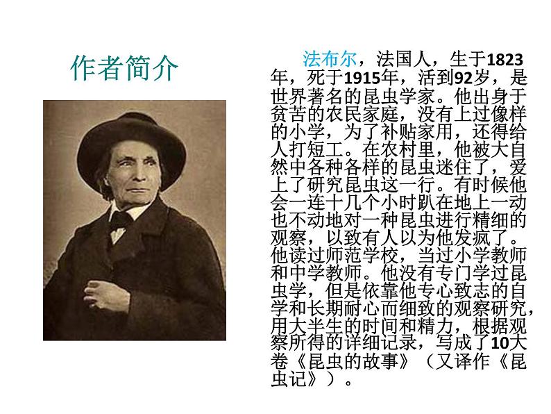 人教部编语文八年级上 19.蝉 （共24张PPT） 课件08