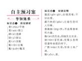 人教部编语文八年级上 名师课件7 列夫-托尔斯泰 （共18张PPT）