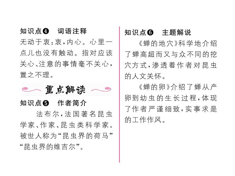 人教部编语文八年级上 名师课件19    蝉 （共19张PPT）第4页