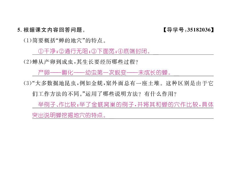 人教部编语文八年级上 名师课件19    蝉 （共19张PPT）第7页