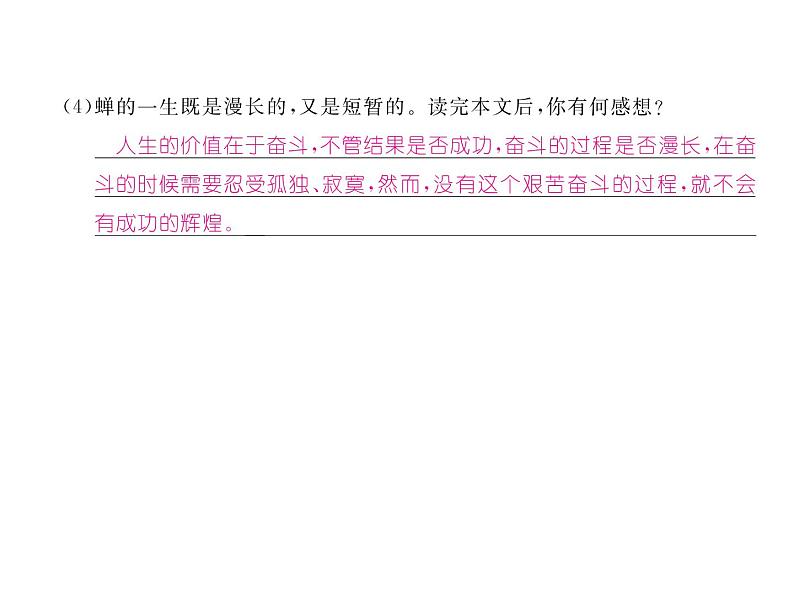 人教部编语文八年级上 名师课件19    蝉 （共19张PPT）第8页