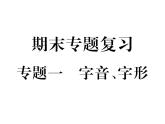 人教部編語(yǔ)文八年級(jí)上 人教版期末復(fù)習(xí)專題一  字音  字形 （共13張PPT）