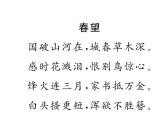 人教部编语文八年级上 名师课件双休作业（12） （共13张PPT）