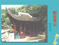 人教部编版九年级上册11 醉翁亭记教学课件ppt