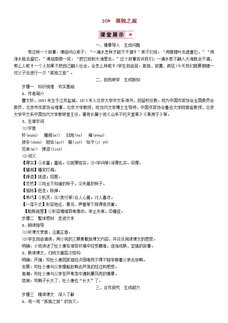 人教部编语文九年级上16孤独之旅教案3001