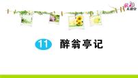 人教部编版九年级上册11 醉翁亭记作业课件ppt
