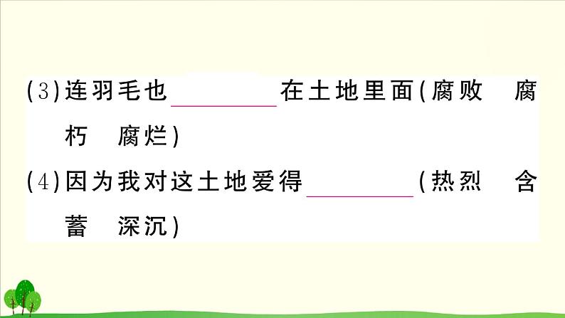 人教部编语文九年级上2 我爱这土地 作业课件第4页