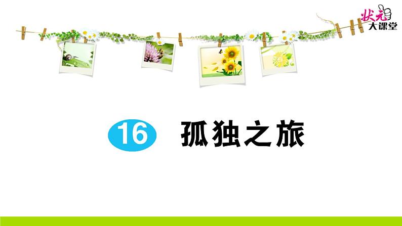 人教部编语文九年级上16 孤独之旅 作业课件第1页