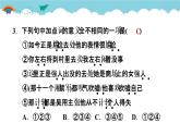 人教部编语文九年级上21.智取生辰纲 习题课件