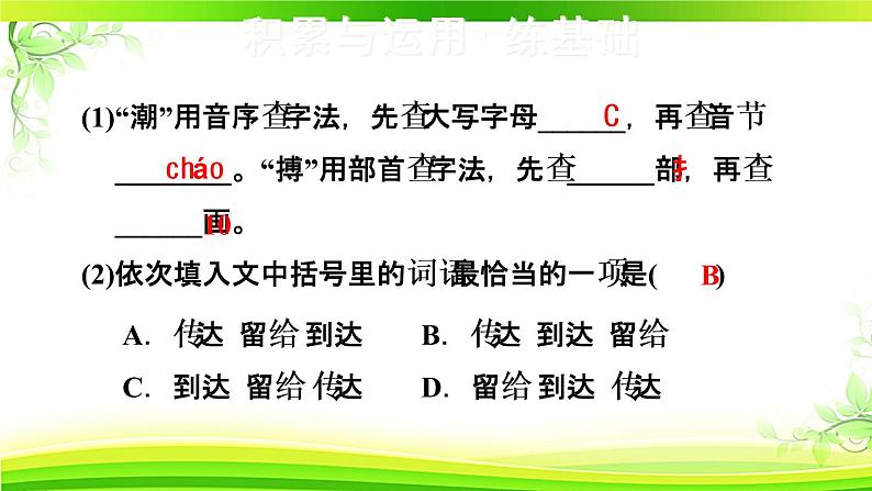 人教部编语文九年级上2.我爱这土地 习题课件第4页