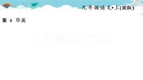 人教部编版九年级上册16* 孤独之旅习题ppt课件