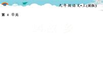 初中语文人教部编版九年级上册14 故乡习题ppt课件