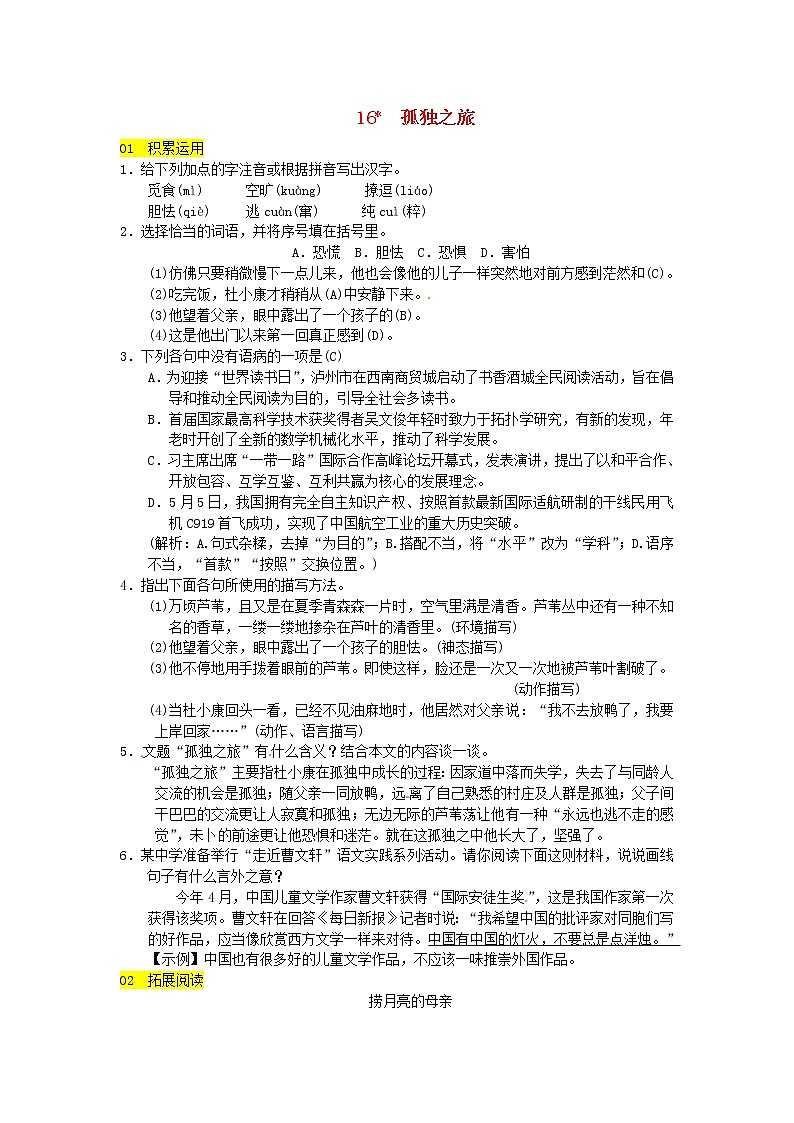 人教部编语文九年级上第16课《孤独之旅》同步练习（含答案）01