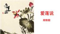 初中语文人教部编版七年级下册爱莲说教案配套ppt课件