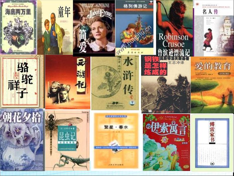 中考语文专题复习课件——课外名著训练第2页