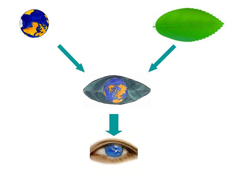 中考语文总复习重点精品课件：读图类综合题解析与练习ppt课件06