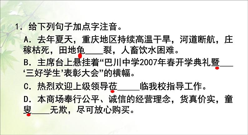 中考语文字音、字形复习课件06