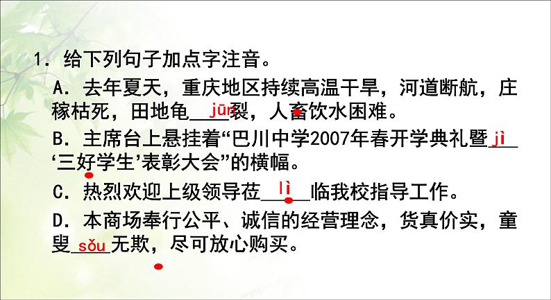 中考语文字音、字形复习课件07
