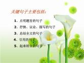 中考语文专题复习课件——记叙文阅读 (2)