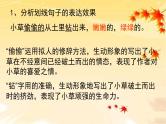 中考语文专题复习课件——记叙文阅读词语赏析