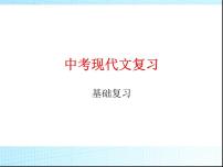 中考语文专题复习课件_现代文