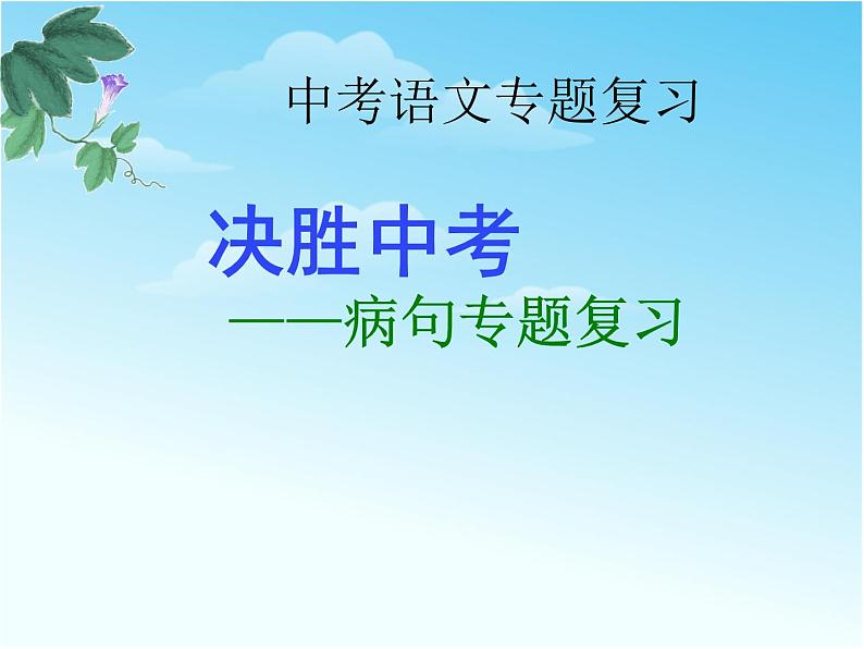 中考语文专题复习课件——病句专题复习第1页