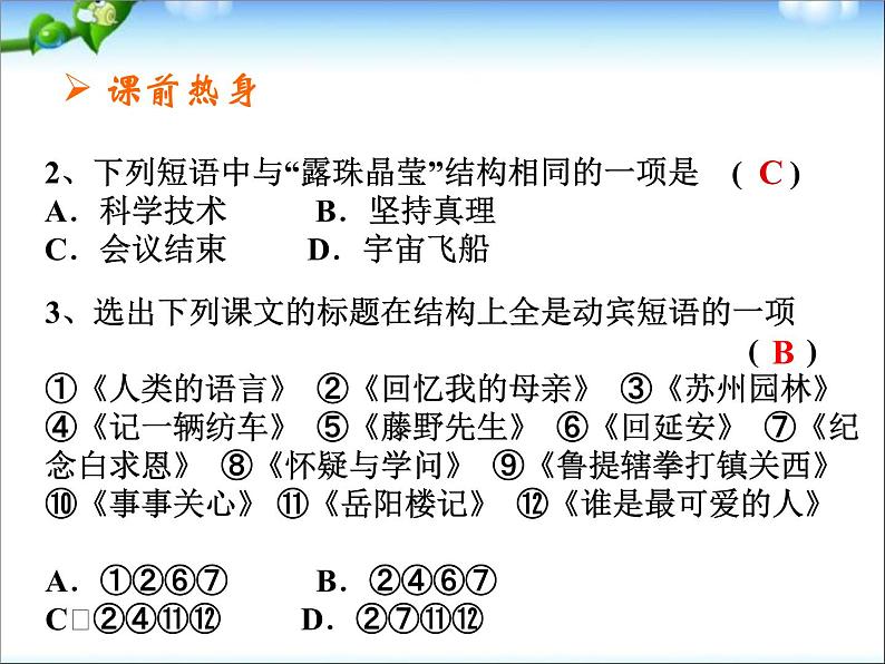 中考语文总复习课件之_短语第3页