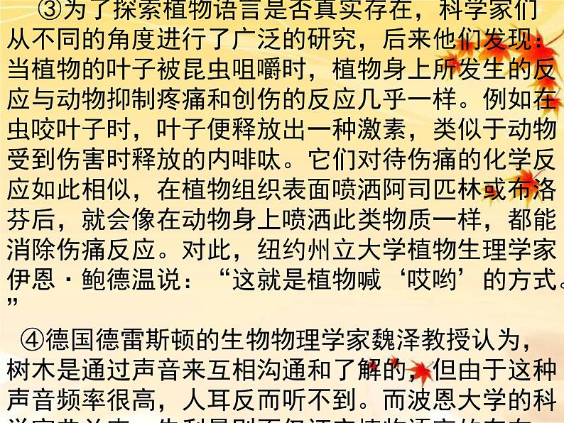中考语文专题复习课件——现代文阅读专练05