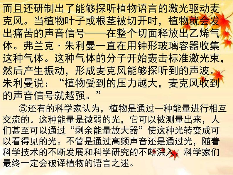 中考语文专题复习课件——现代文阅读专练06