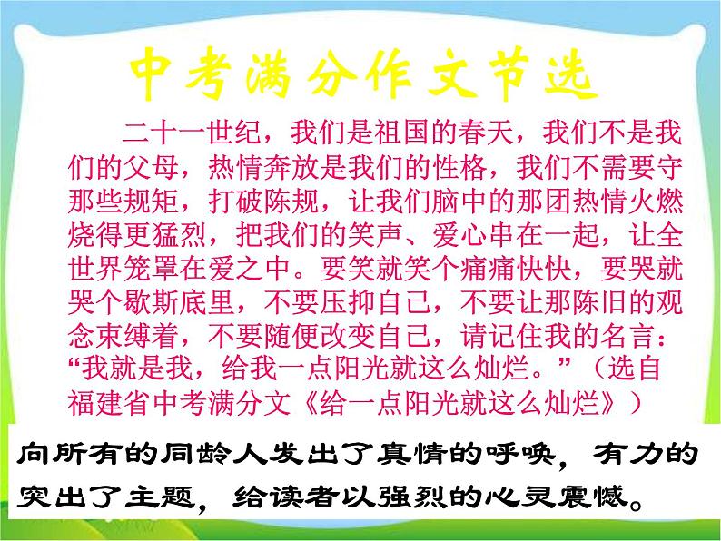 中考语文知识考点专项复习课件5第8页