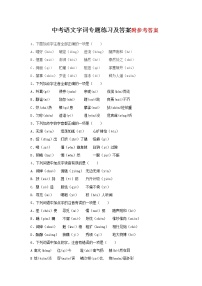 人教版中考语文字词专题练习及答案