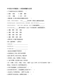 2018年中考语文专项复习训练：3词语的理解与运用