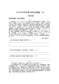 2018年广东中考语文总复习检测题九