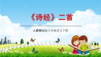 人教部编版八年级下册蒹葭教学ppt课件
