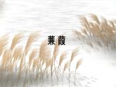 人教部编版八年级语文下册12《诗经》二首教学课件精品PPT优秀公开课2