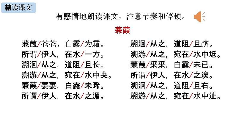 人教部编版八年级语文下册12《诗经》二首教学课件精品PPT优秀公开课205