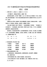 2021年甘肃省天水市麦积区中考模拟语文试题（word版 含答案）