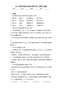 2021年四川省乐山市沙湾区中考二模语文试题（word版 含答案）