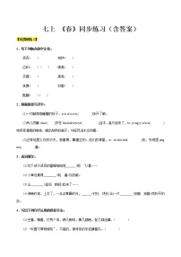 【机构专用】1 《春》同步练习（含答案）—2020年六年级升七年级语文暑假辅导