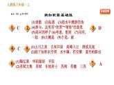 部编版八年级上册语文习题课件 第3单元 11 短文二篇