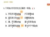 部编版八年级上册语文习题课件 第3单元 11 短文二篇